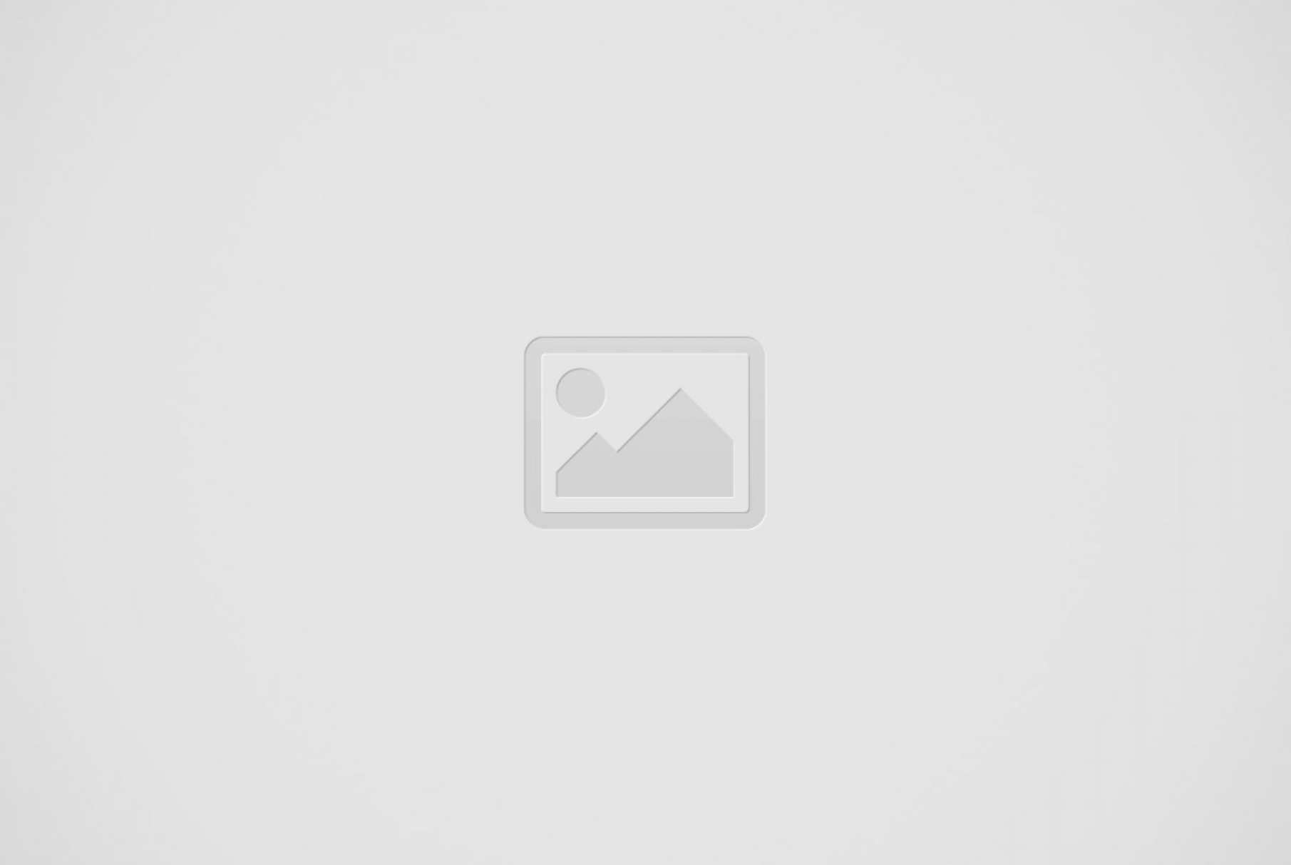 Placeholder landscape